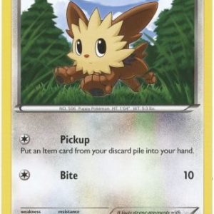 Lillipup - 80/114