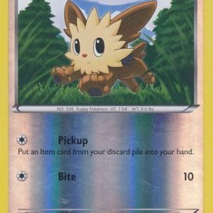 Lillipup - 80/114 - Reverse