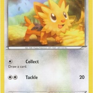Lillipup - 81/114