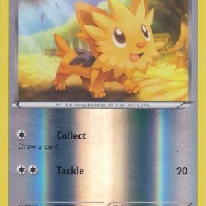 Lillipup - 81/114 - Reverse
