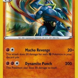 Machamp - 026/073 (Holo)