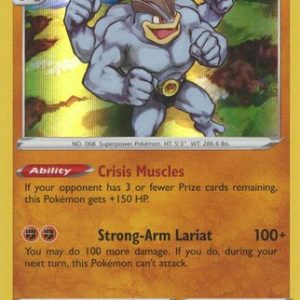 Machamp - 88/196 (Holo)