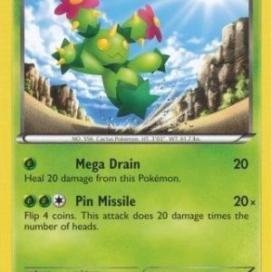 Maractus - 11/114