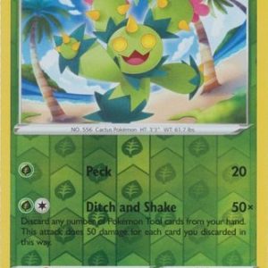 Maractus - 12/264 - Reverse