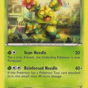 Maractus - 16/124