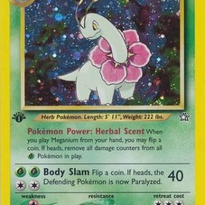 Meganium - 10/111 - 1st Edition (Holo)
