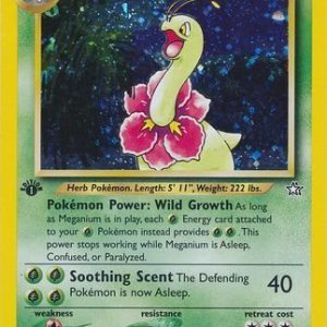 Meganium - 11/111 - 1st Edition (Holo)
