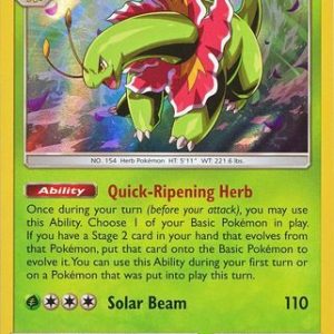 Meganium - 8/214 (Holo)