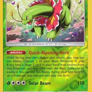 Meganium - 8/214 - Reverse