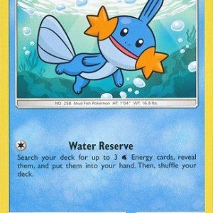 Mudkip - 32/168