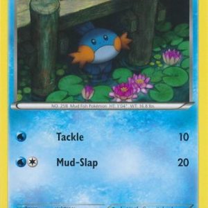 Mudkip - 33/160