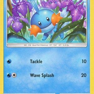 Mudkip - 33/168