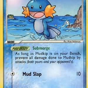 Mudkip - 57/100