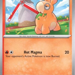 Numel - 031/197