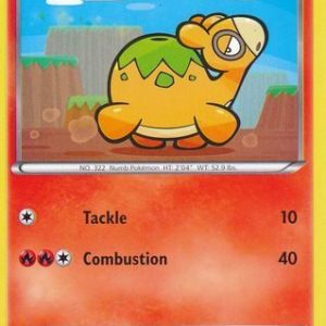Numel - 12/122