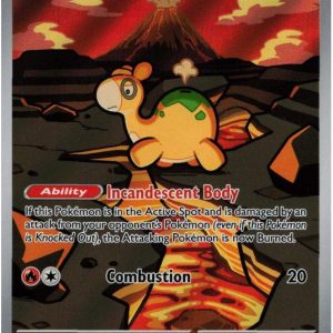 Numel - 223/217