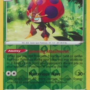 Orbeetle - 20/196 - Reverse