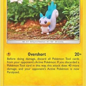 Pachirisu - 80/214