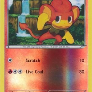 Pansear - 21/114 - Reverse