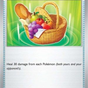 Picnic Basket - 184/198