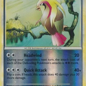 Pidgeot - 30/95 - Reverse