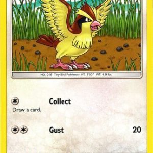 Pidgey - 121/181
