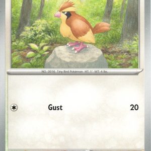 Pidgey - 162/197