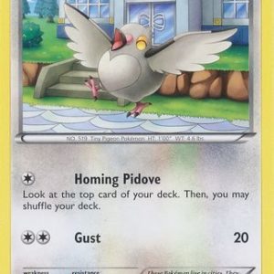 Pidove - 78/108
