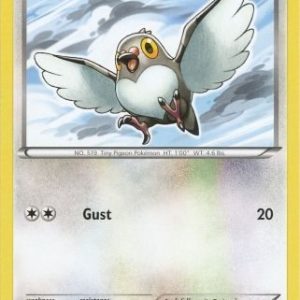 Pidove - 80/98