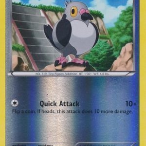 Pidove - 84/114 - Reverse
