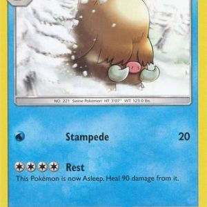 Piloswine - 20/111