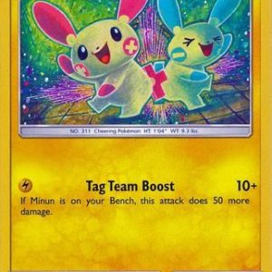Plusle - 33/73