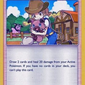 Pokémon Breeder - 63/73