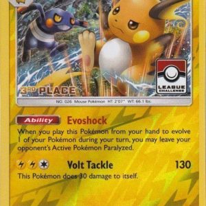 Pokemons loppefund nr. 302 - Forside