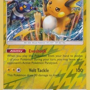 Raichu - 41/147 - Reverse