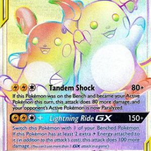 Raichu & Alolan Raichu GX - 241/236