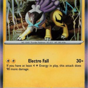 Raikou - 048/132 (Holo)