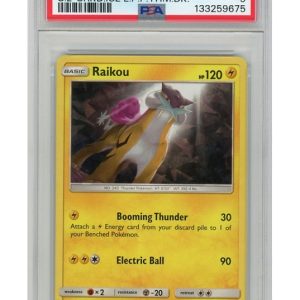 Raikou Cracked Ice Holo 32/73 PSA 9
