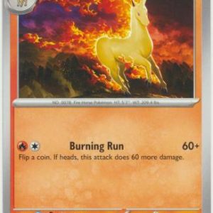 Rapidash - 020/142