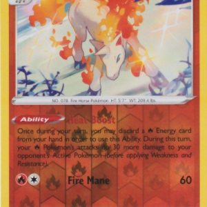 Rapidash - 22/195 - Reverse