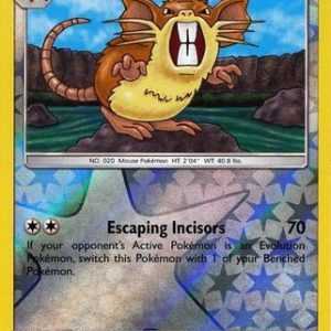Raticate - 144/214 - Reverse