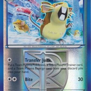 Raticate (Team Plasma) - 88/116 - Reverse