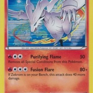 Reshiram - 17/116 (Holo)