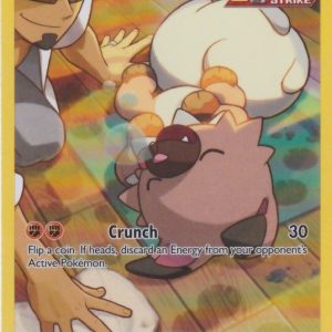 Rockruff (Professor Kukui) - TG07/TG30
