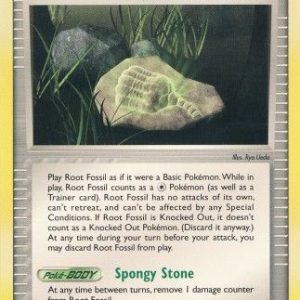 Root Fossil - 80/92