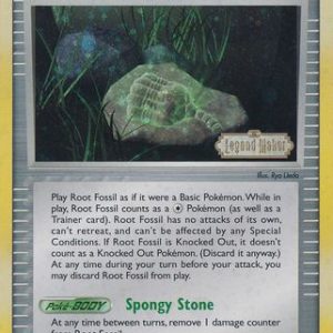 Root Fossil - 80/92 - Reverse