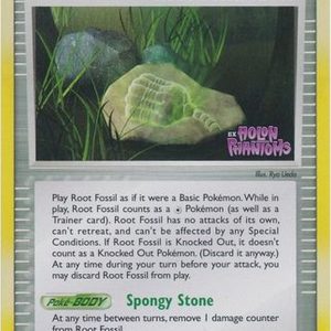 Root Fossil - 93/110 - Reverse
