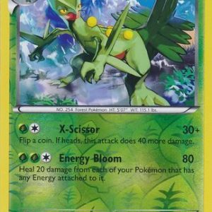 Sceptile - 8/116 - Reverse
