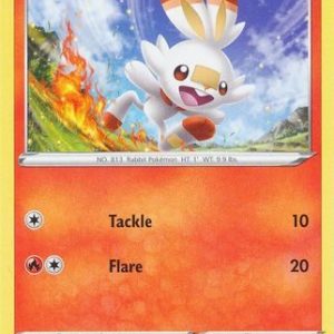 Scorbunny - 31/202