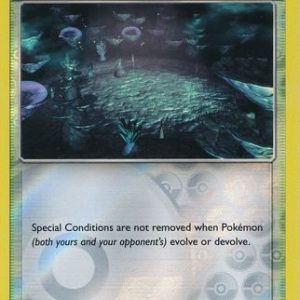 Sea of Nothingness - 99/111 - Reverse